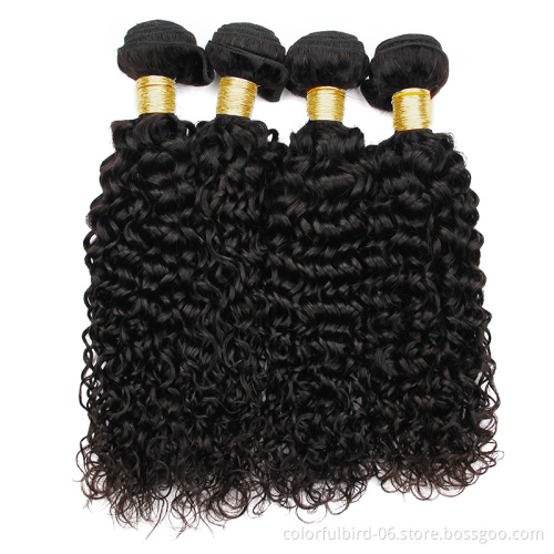 Free Sample Malaysian 100% Virgin Hair Water Wave Double Drawn Human Hair Bundles water Wave Bundles Brazilian Human Hair